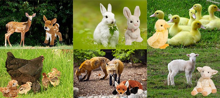 Cuddly Spring Animals