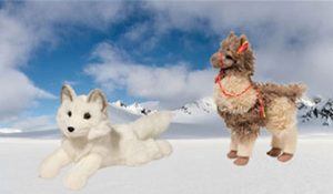 snow new products