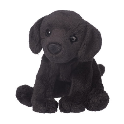 Lucy Black Lab