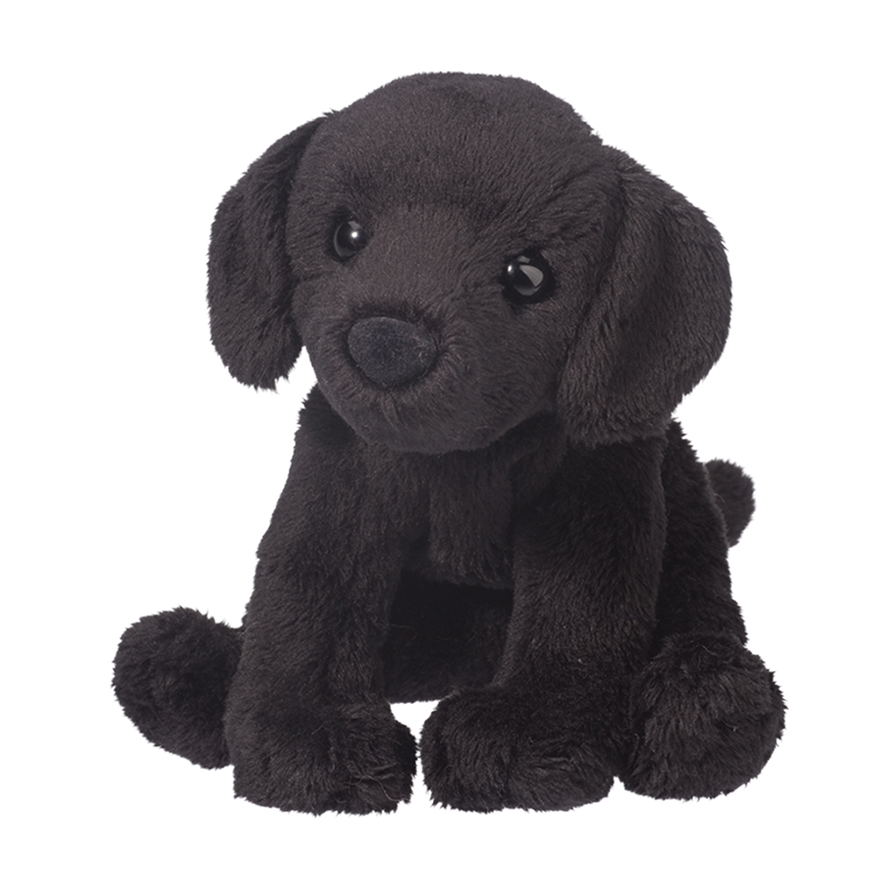 Lucy Black Lab
