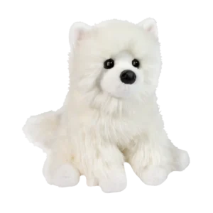 Opo White Pomeranian