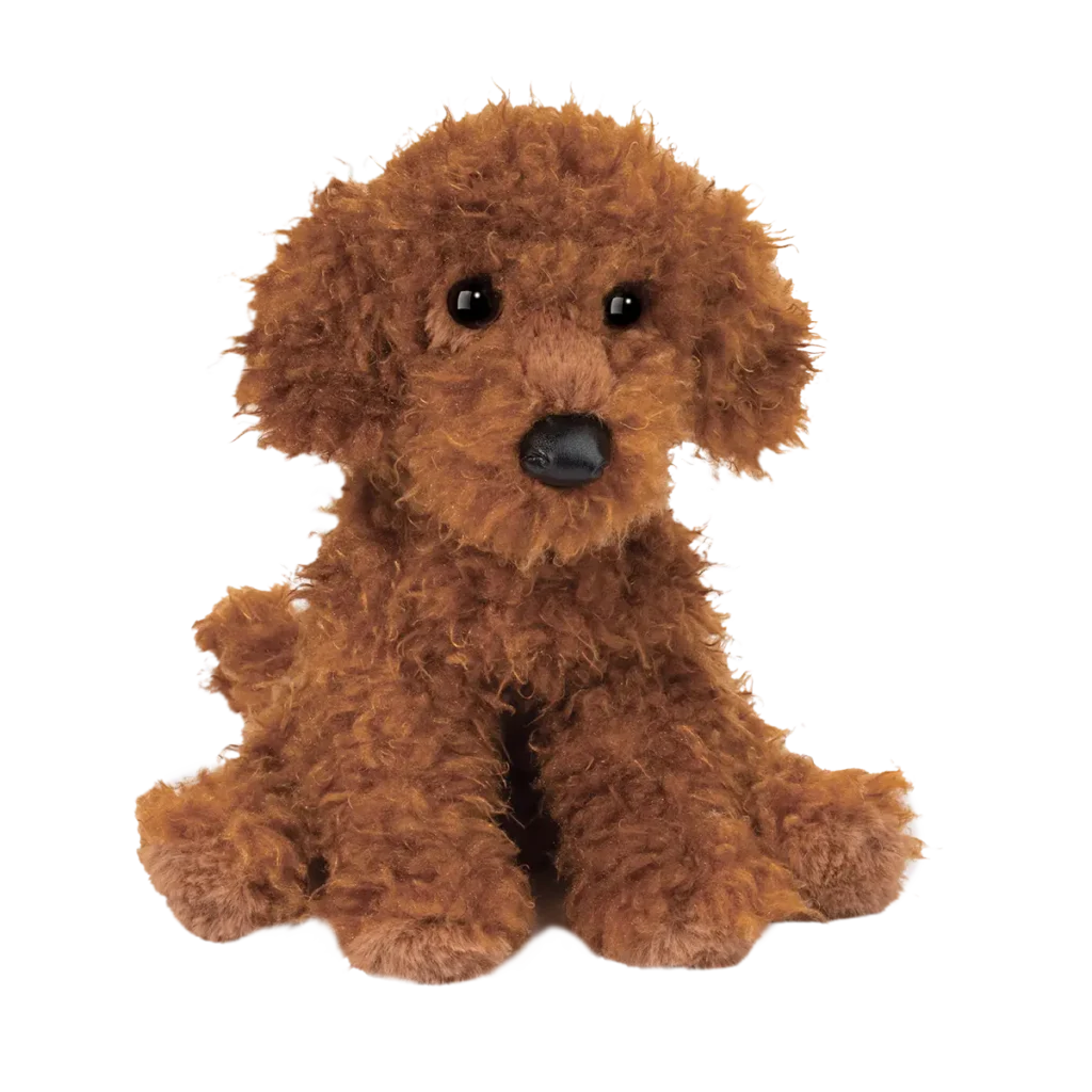 Ginger Miniature Poodle