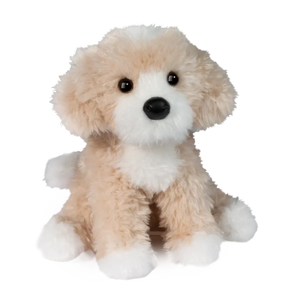 Darcy Golden Doodle