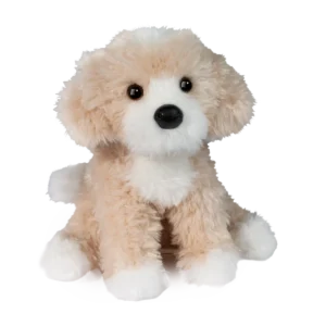 Darcy Golden Doodle