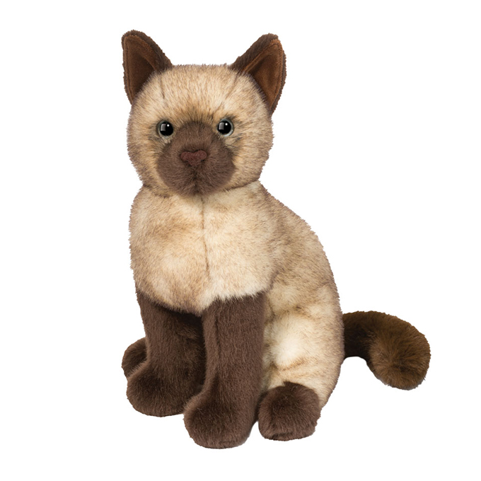 Chai Siamese Cat