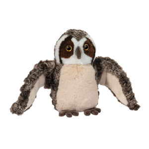 Echo Owl